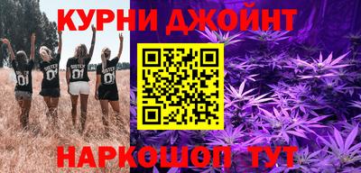 молекула духа Будённовск