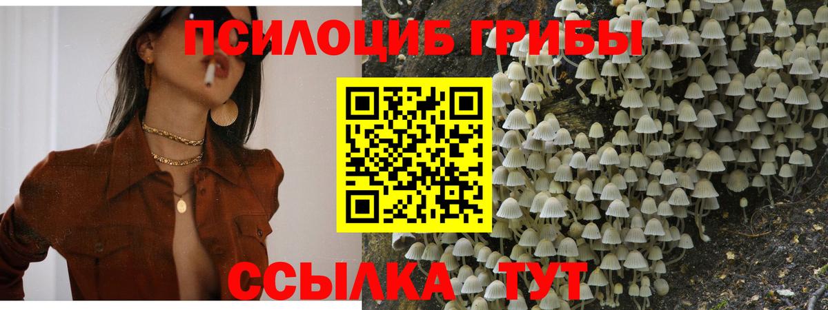 Галлюциногенные грибы Magic Shrooms Лянтор